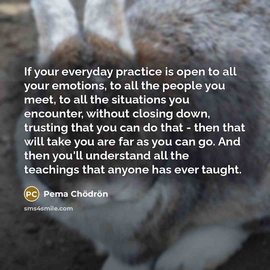 “If your everyday practice is open to all your emotions,…” quote by Pema Chodron