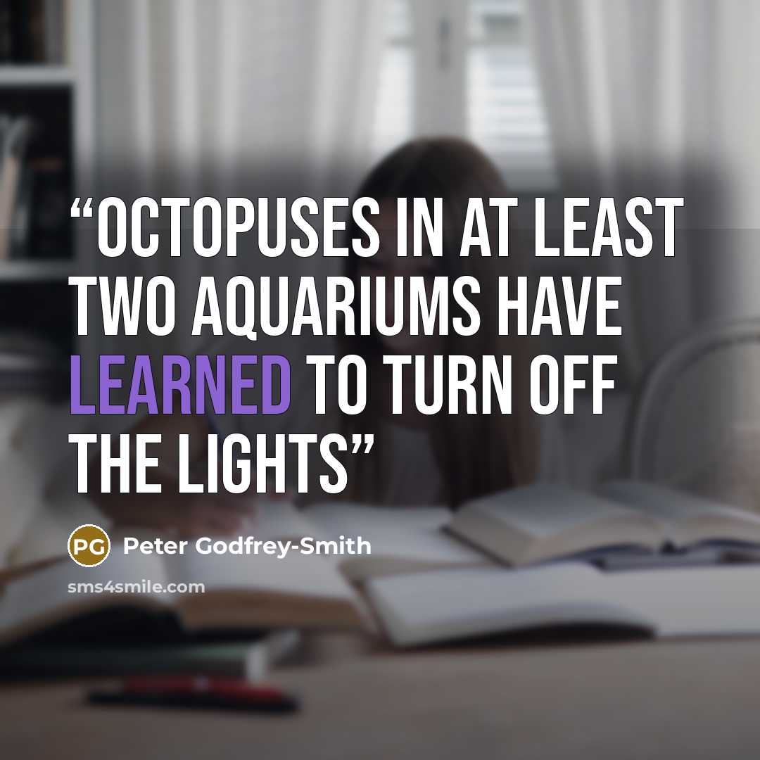 “Octopuses in at least two aquariums have learned to turn off the lights” quote by Peter Godfrey-Smith
