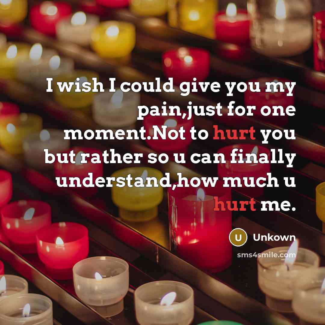 “I wish I could give you my pain,just for one moment.Not to hurt you but rather so u can finally understand,how much u hurt me.” quote by Unkown