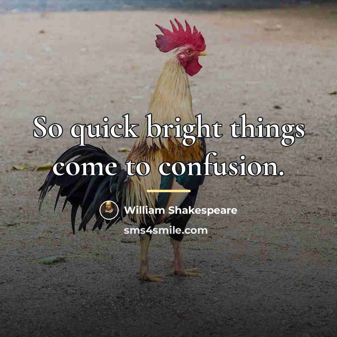 “So quick bright things come to confusion.…” quote by William Shakespeare