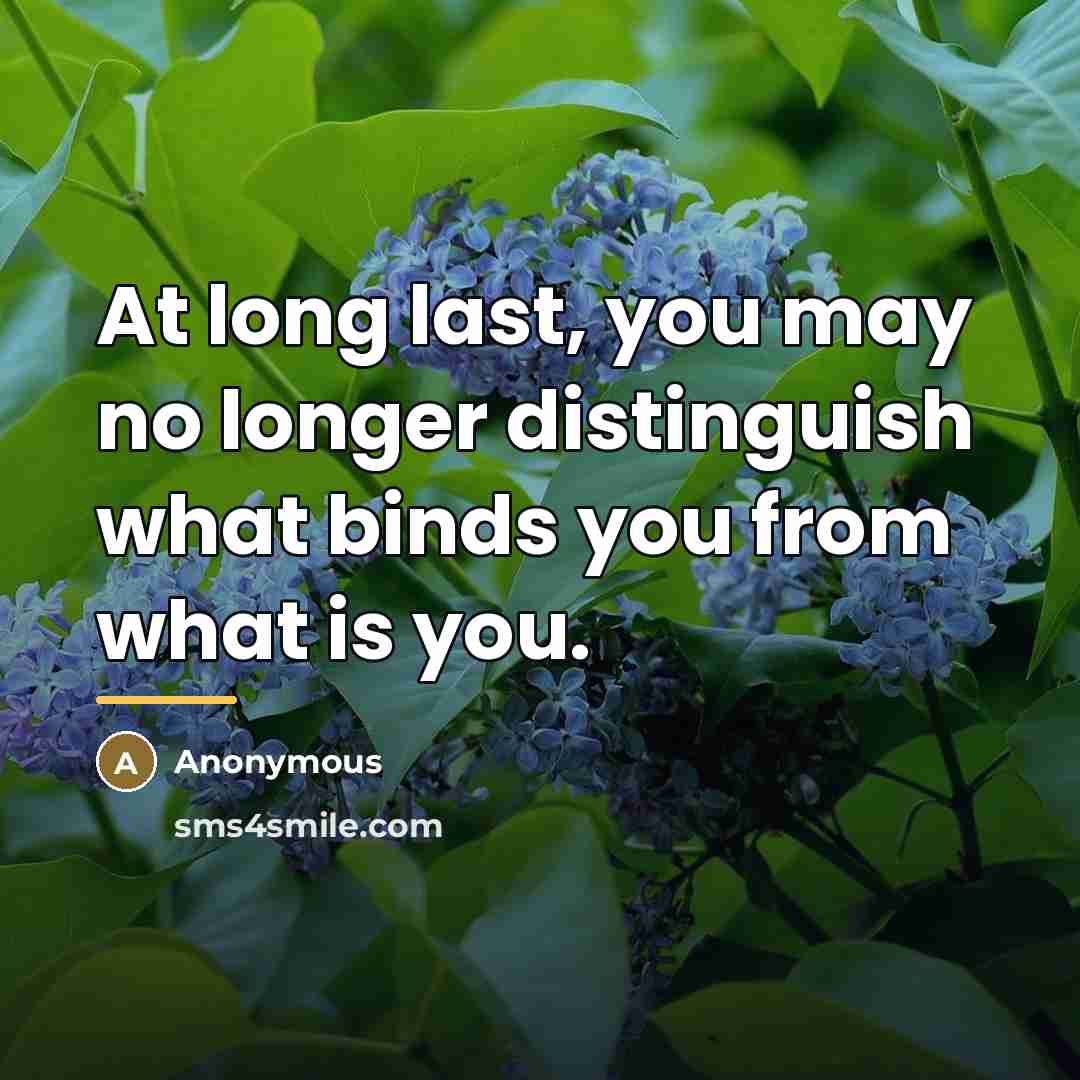 “At long last, you may no longer distinguish what binds…” quote by Anonymous