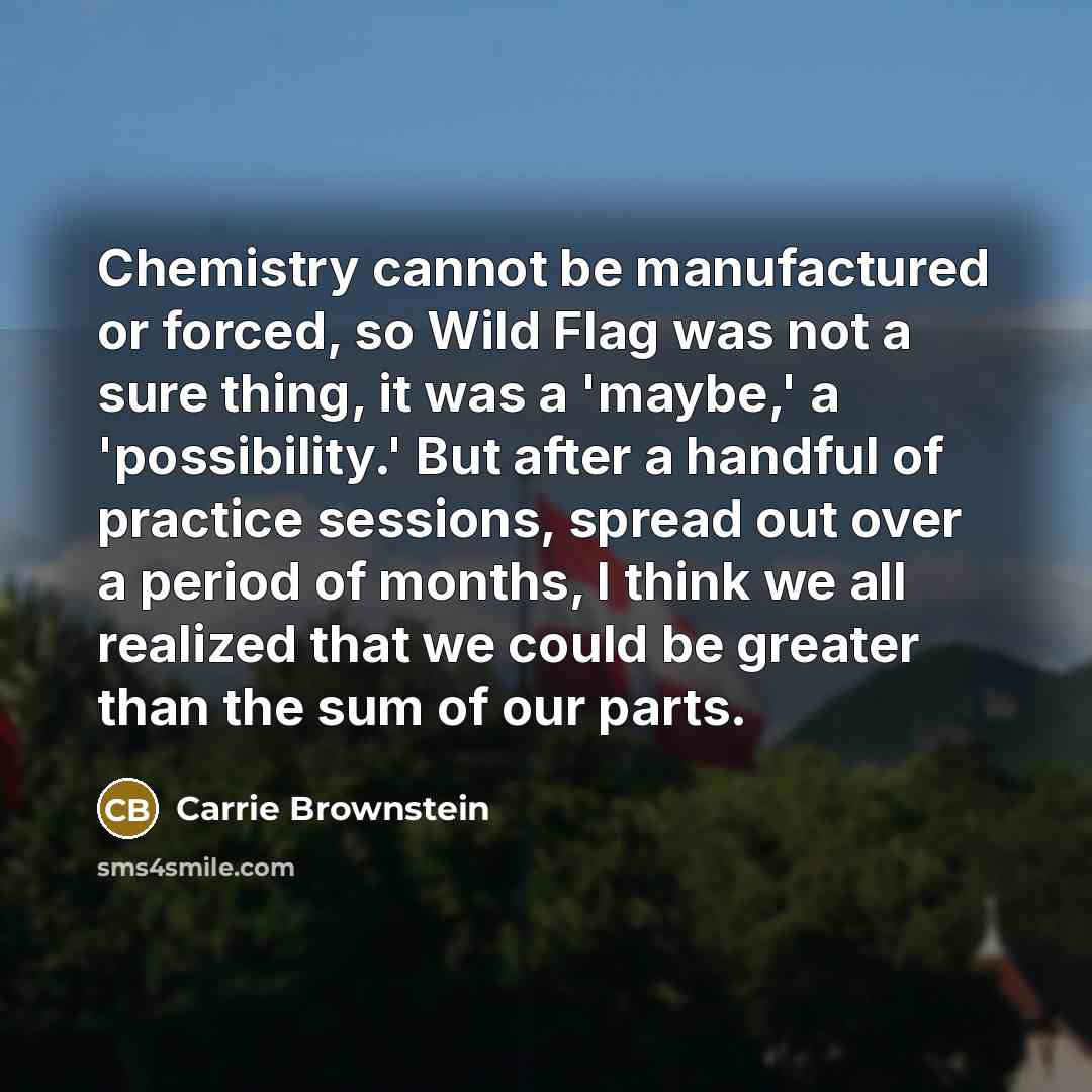 “Chemistry cannot be manufactured or forced, so Wild Flag was…” quote by Carrie Brownstein