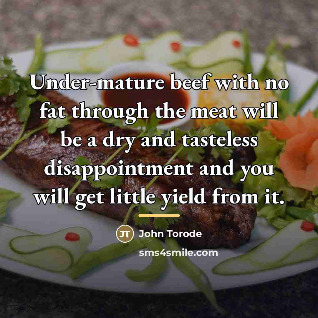 “Under-mature beef with no fat through the meat will be…” quote by John Torode