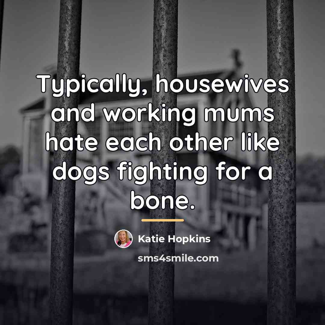 “Typically, housewives and working mums hate each other like dogs…” quote by Katie Hopkins