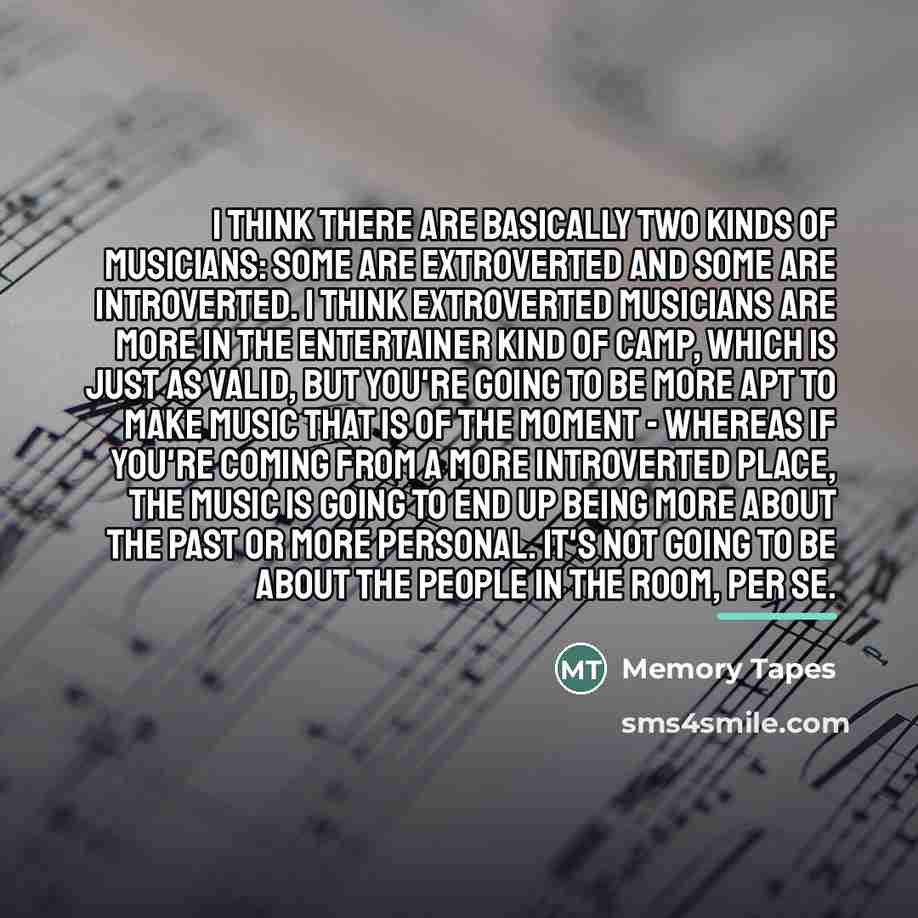 “I think there are basically two kinds of musicians: some…” quote by Memory Tapes