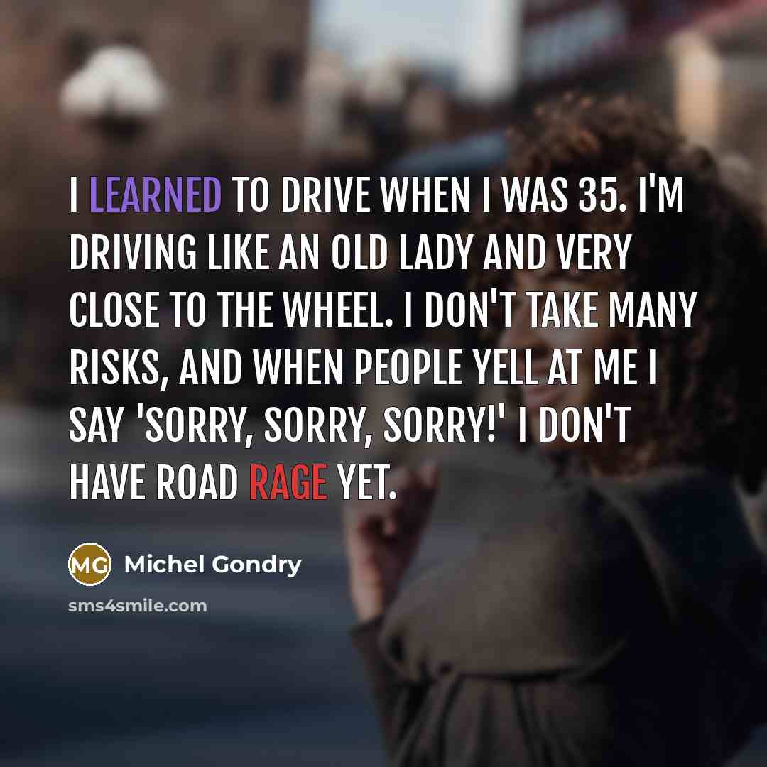 “I learned to drive when I was 35. I'm driving like an old lady and very close to the wheel. I don't take many risks, and when people yell at me I say 'sorry, sorry, sorry!' I don't have road rage yet.” quote by Michel Gondry