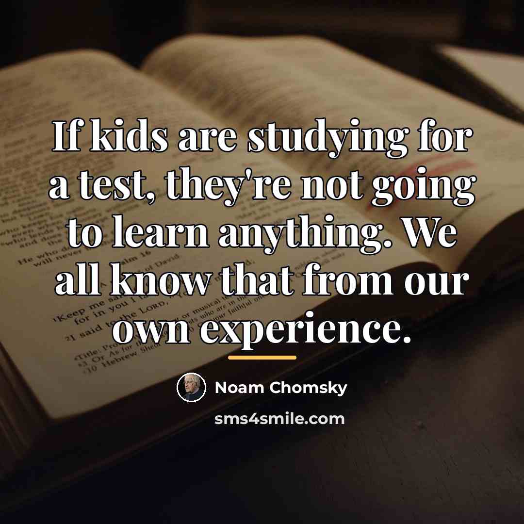 “If kids are studying for a test, they're not going…” quote by Noam Chomsky
