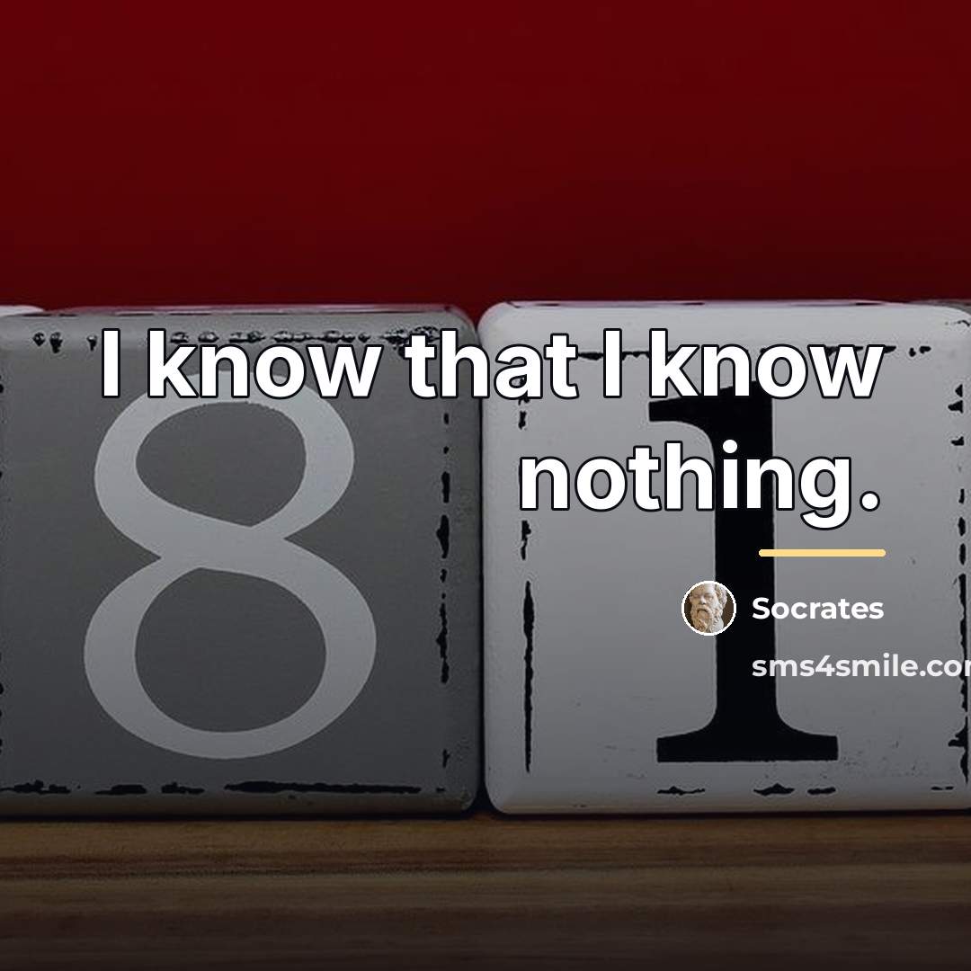 “I know that I know nothing.…” quote by Socrates