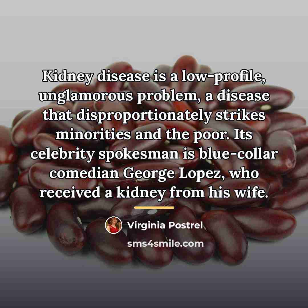 “Kidney disease is a low-profile, unglamorous problem, a disease that…” quote by Virginia Postrel