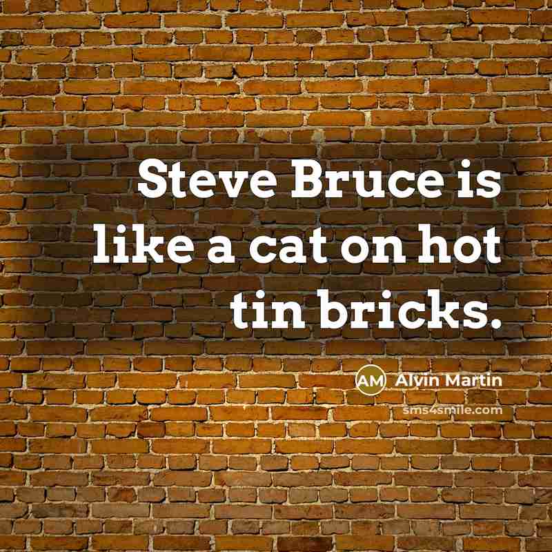 “Steve Bruce is like a cat on hot tin bricks.…” quote by Alvin Martin