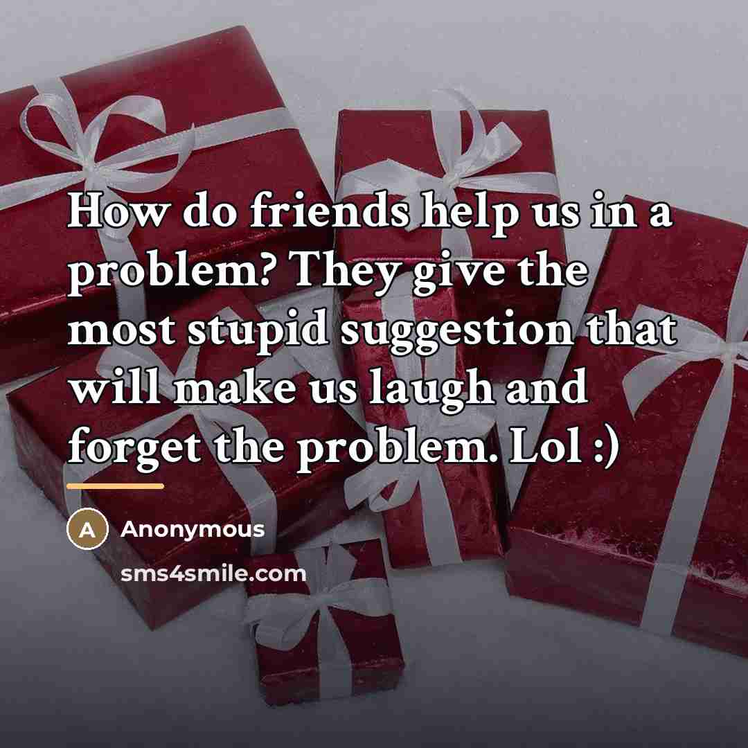 “How do friends help us in a problem? They give…” quote by Anonymous