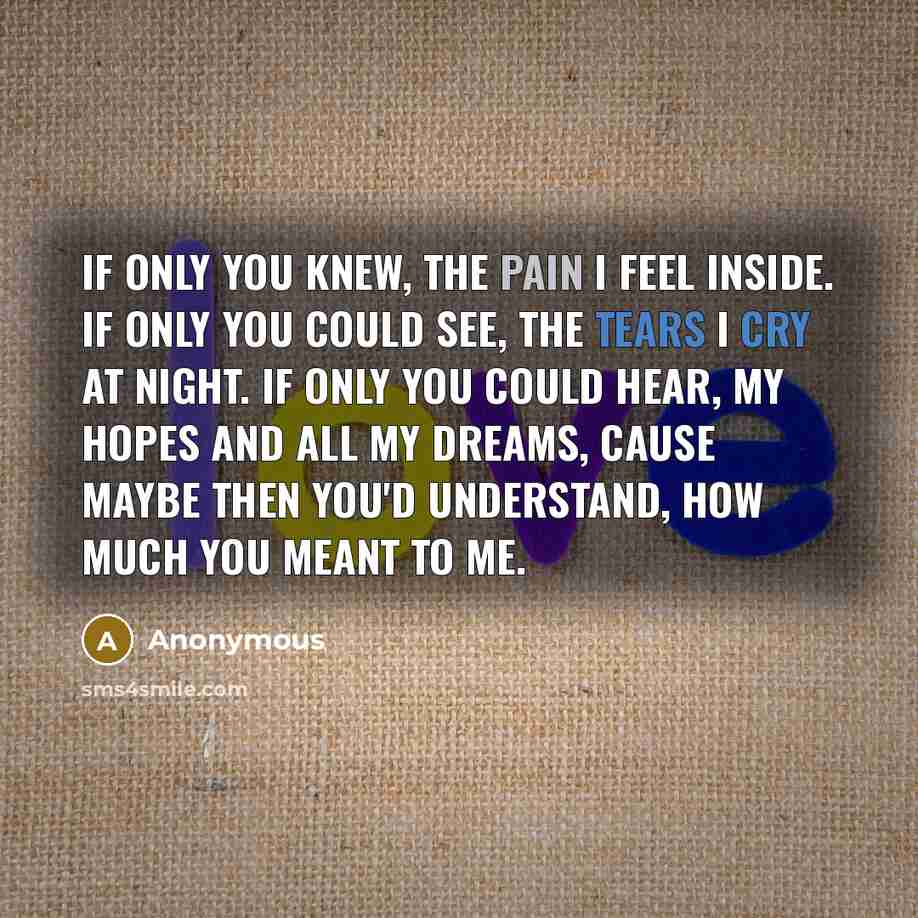 “If only you knew, the pain I feel inside. If only you could see, the tears I cry at night. If only you could hear, my hopes and all my dreams, cause maybe then you'd understand, how much you meant to me.” quote by Anonymous
