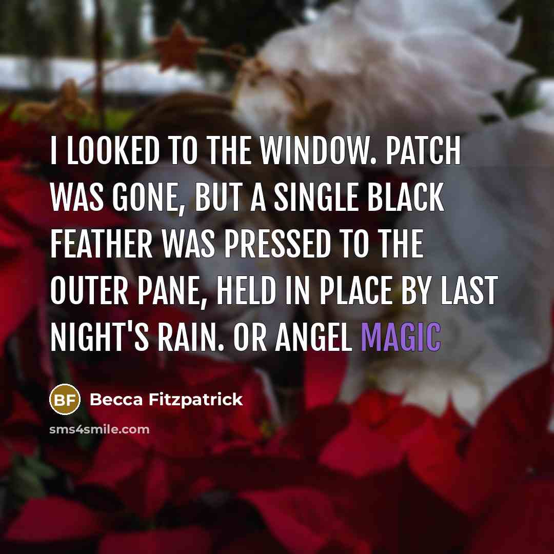 “I looked to the window. Patch was gone, but a…” quote by Becca Fitzpatrick