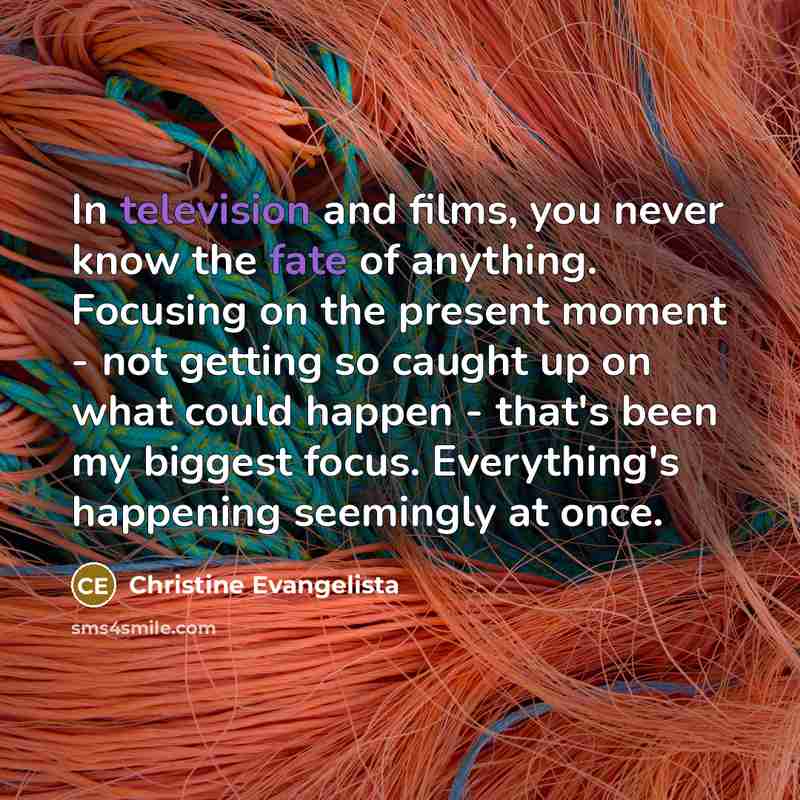 “In television and films, you never know the fate of…” quote by Christine Evangelista