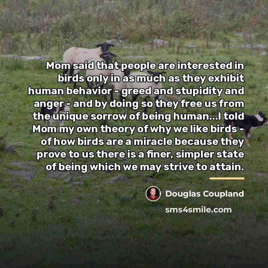 “Mom said that people are interested in birds only in…” quote by Douglas Coupland