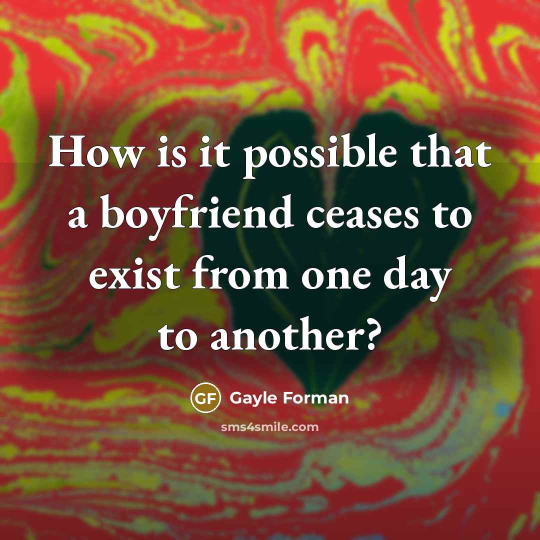 “How is it possible that a boyfriend ceases to exist…” quote by Gayle Forman