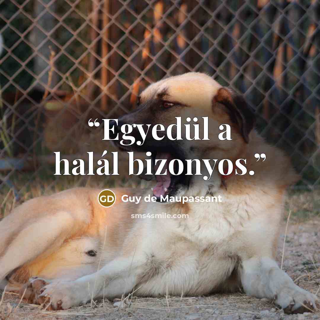 “Egyedül a halál bizonyos.” quote by Guy de Maupassant
