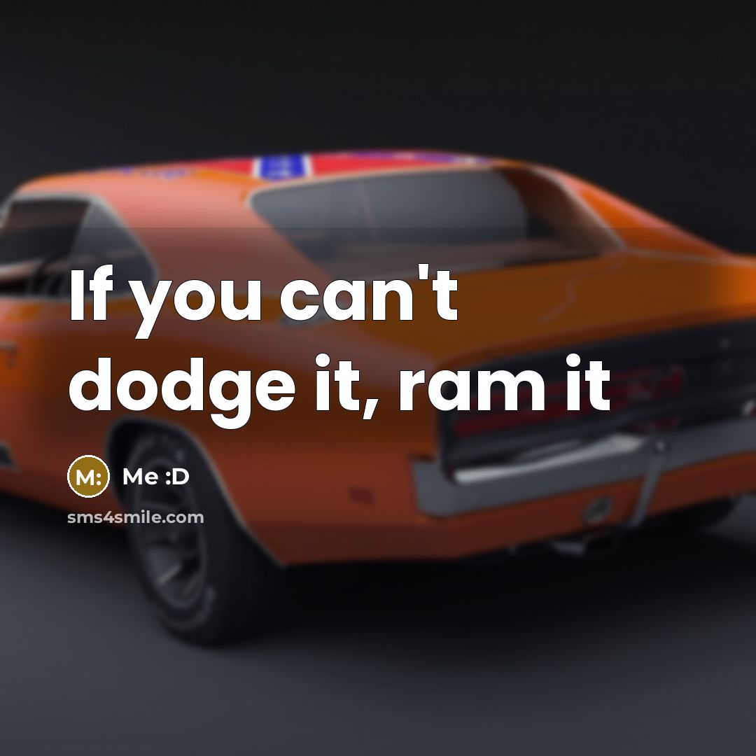 “If you can't dodge it, ram it…” quote by Me :D