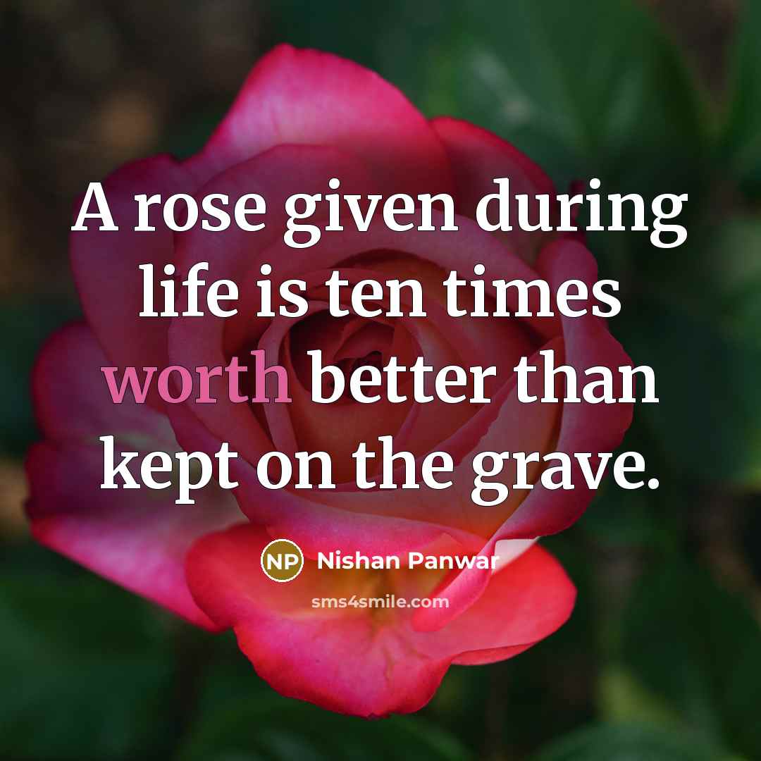 “A rose given during life is ten times worth better…” quote by Nishan Panwar