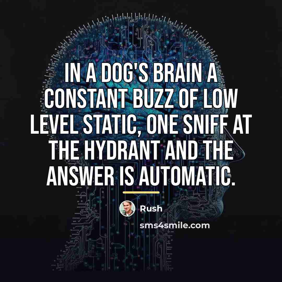 “In a dog's brain a constant buzz of low level…” quote by Rush