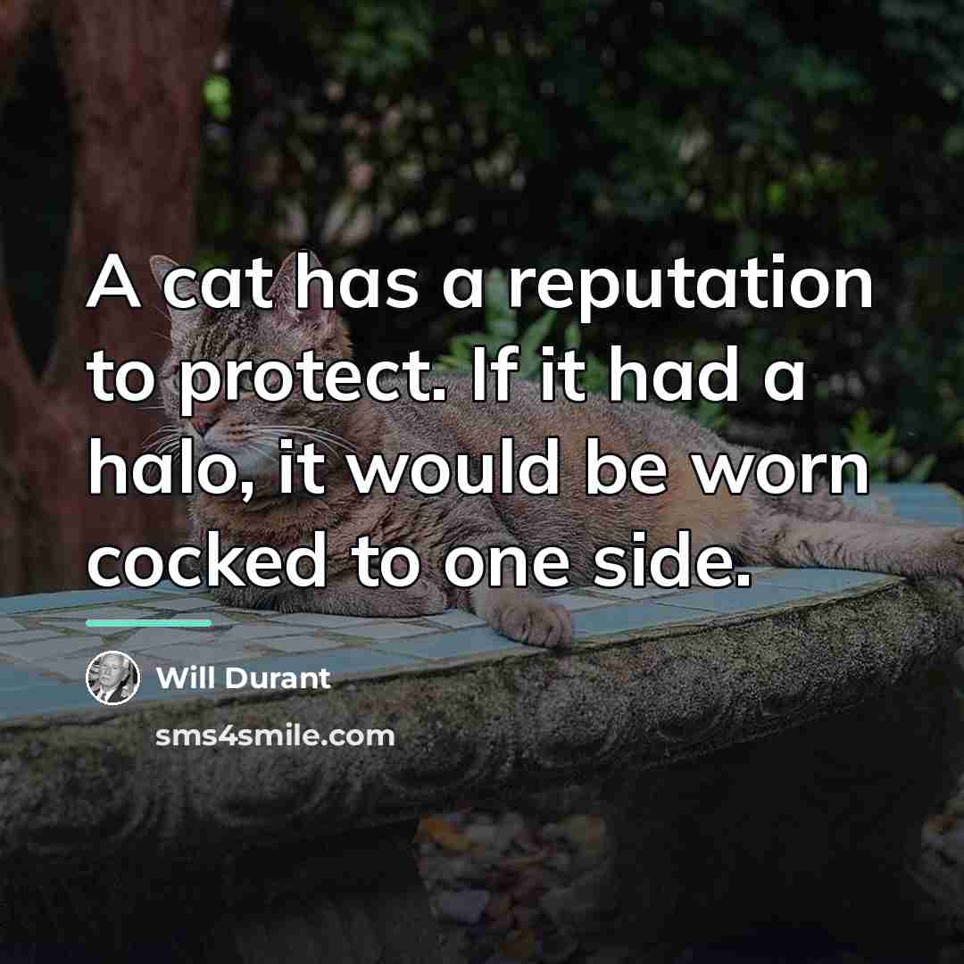 “A cat has a reputation to protect. If it had…” quote by Will Durant