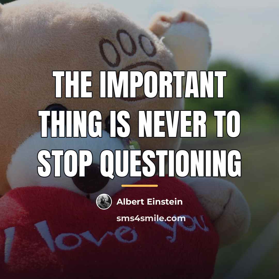 “The important thing is never to stop questioning…” quote by Albert Einstein