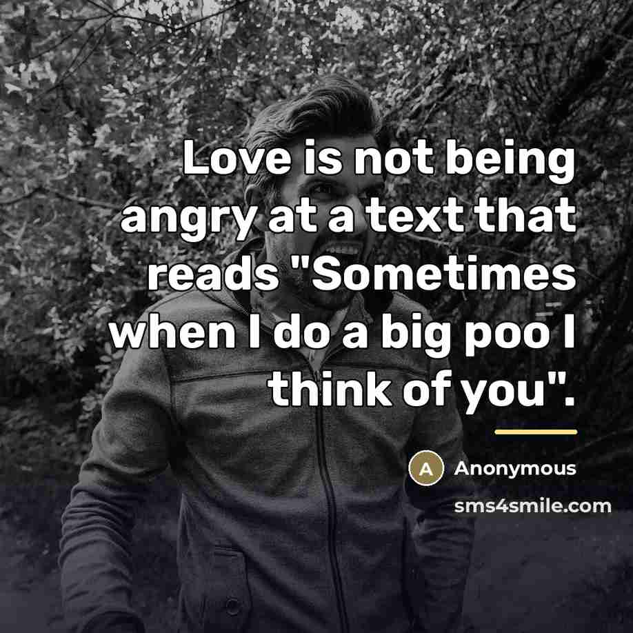 “Love is not being angry at a text that reads…” quote by Anonymous