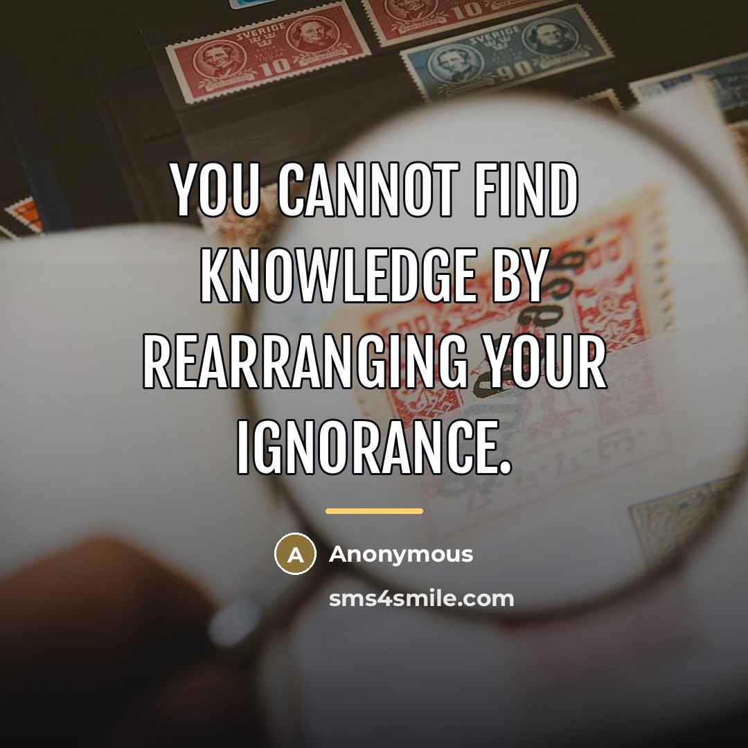 “You cannot find knowledge by rearranging your ignorance.…” quote by Anonymous