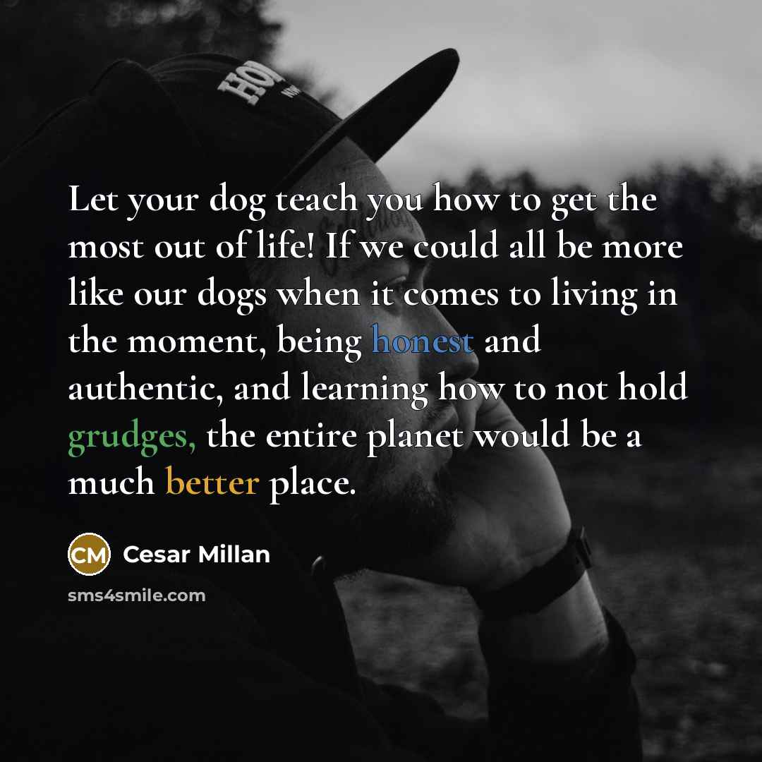 “Let your dog teach you how to get the most out of life! If we could all be more like our dogs when it comes to living in the moment, being honest and authentic, and learning how to not hold grudges, the entire planet would be a much better place.” quote by Cesar Millan
