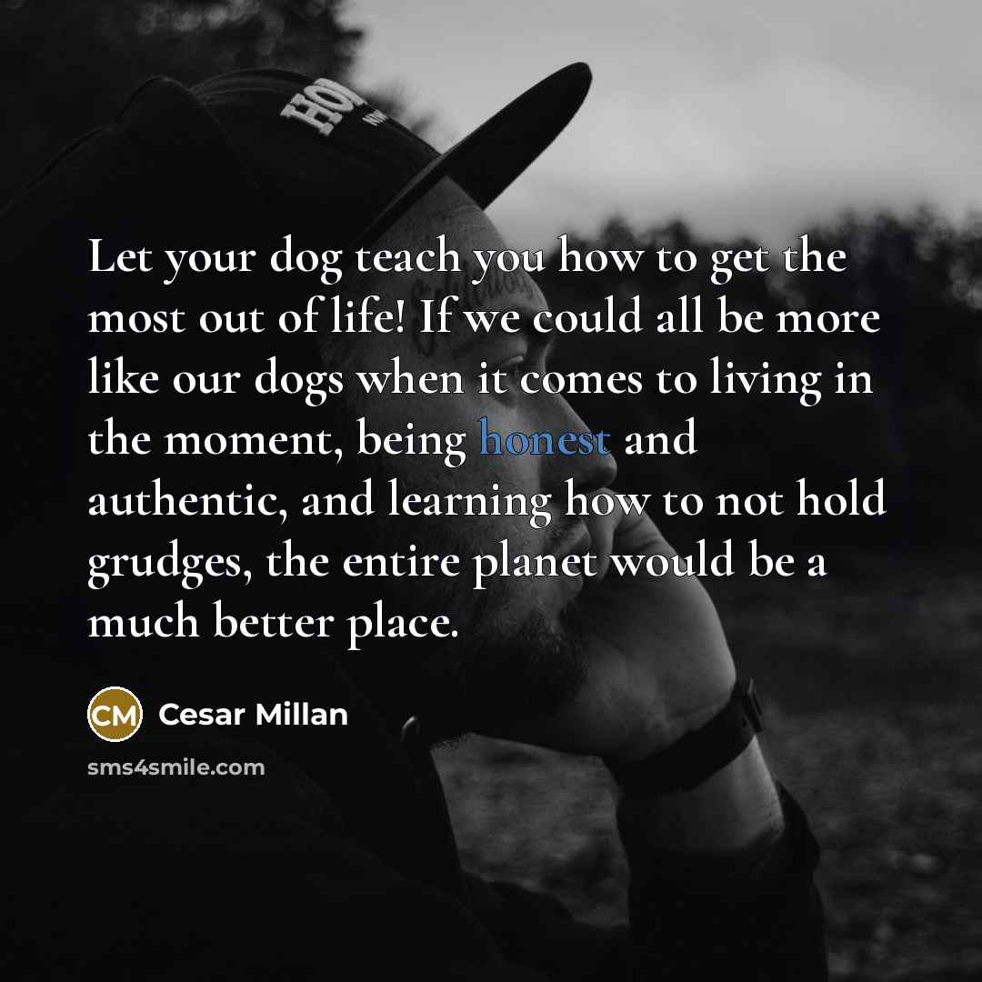 “Let your dog teach you how to get the most…” quote by Cesar Millan