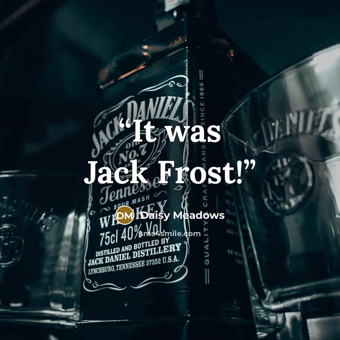 “It was Jack Frost!” quote by Daisy Meadows