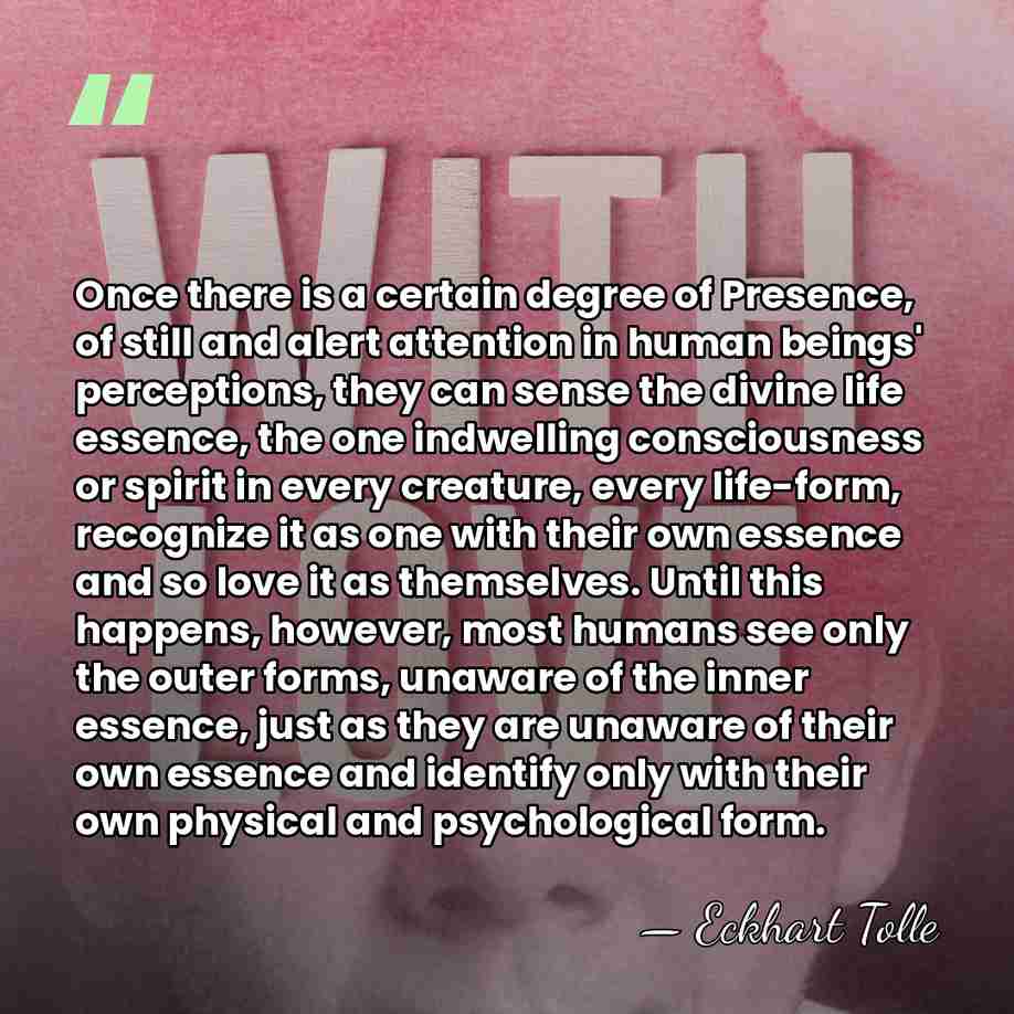 Once there is a certain degree of Presence, of still and alert&hellip; - Eckhart Tolle
