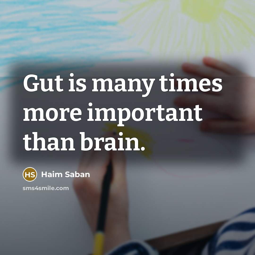 “Gut is many times more important than brain.…” quote by Haim Saban