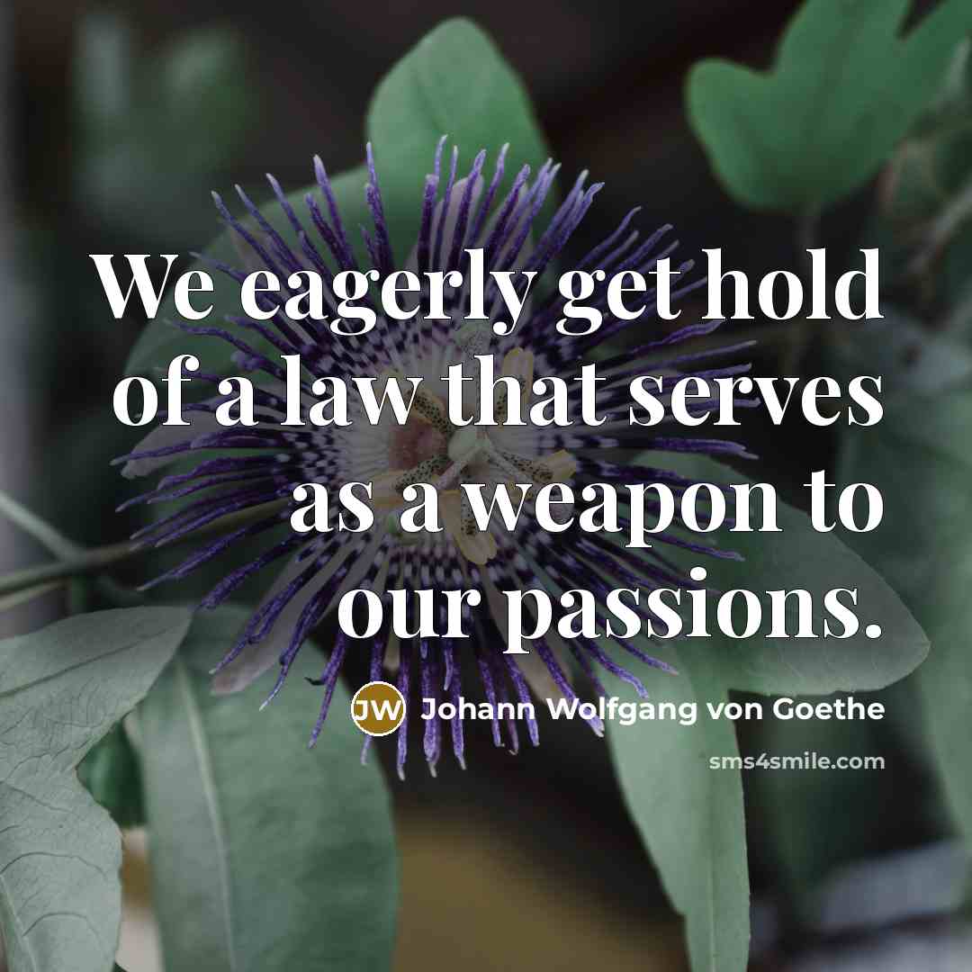 “We eagerly get hold of a law that serves as…” quote by Johann Wolfgang von Goethe