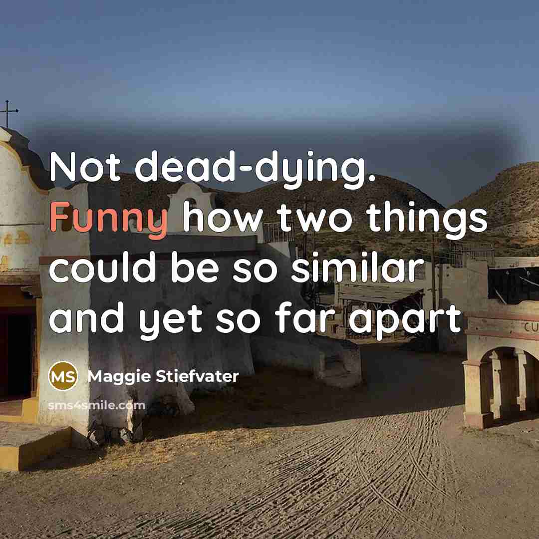 “Not dead-dying. Funny how two things could be so similar and yet so far apart” quote by Maggie Stiefvater