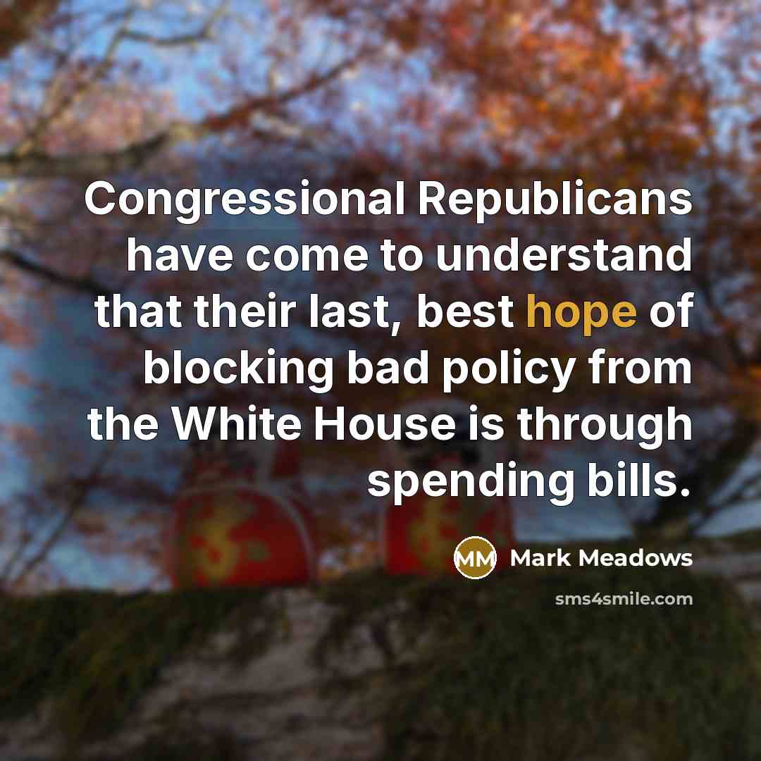 “Congressional Republicans have come to understand that their last, best…” quote by Mark Meadows