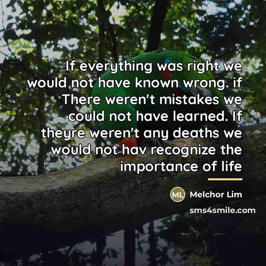 “If everything was right we would not have known wrong.…” quote by Melchor Lim