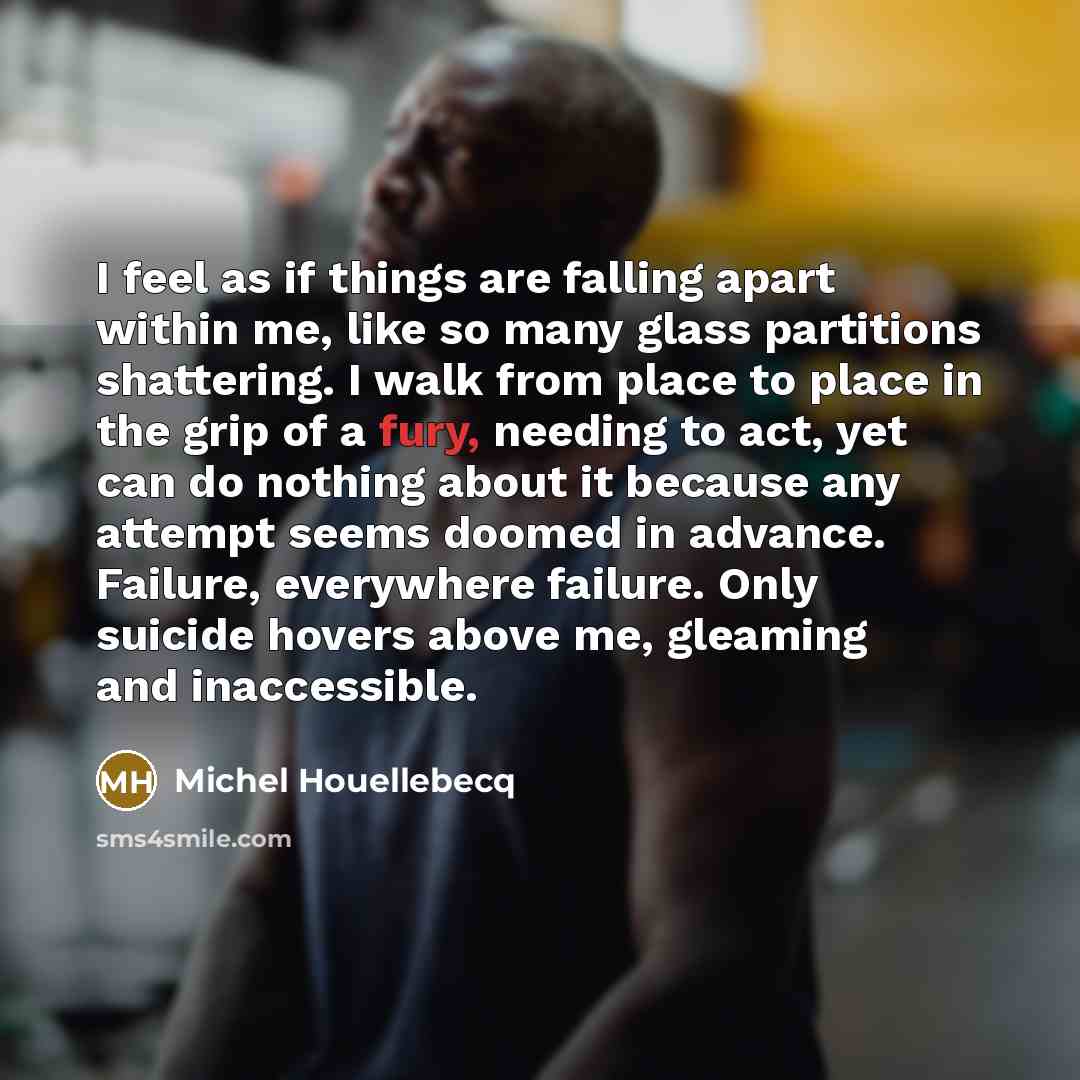 “I feel as if things are falling apart within me,…” quote by Michel Houellebecq