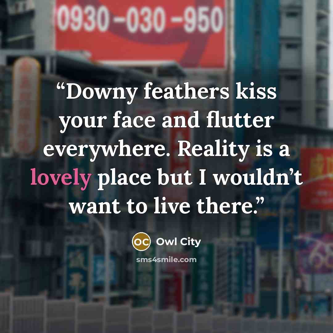 “Downy feathers kiss your face and flutter everywhere. Reality is a lovely place but I wouldn’t want to live there.” quote by Owl City