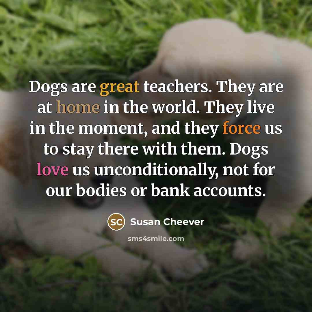 “Dogs are great teachers. They are at home in the…” quote by Susan Cheever