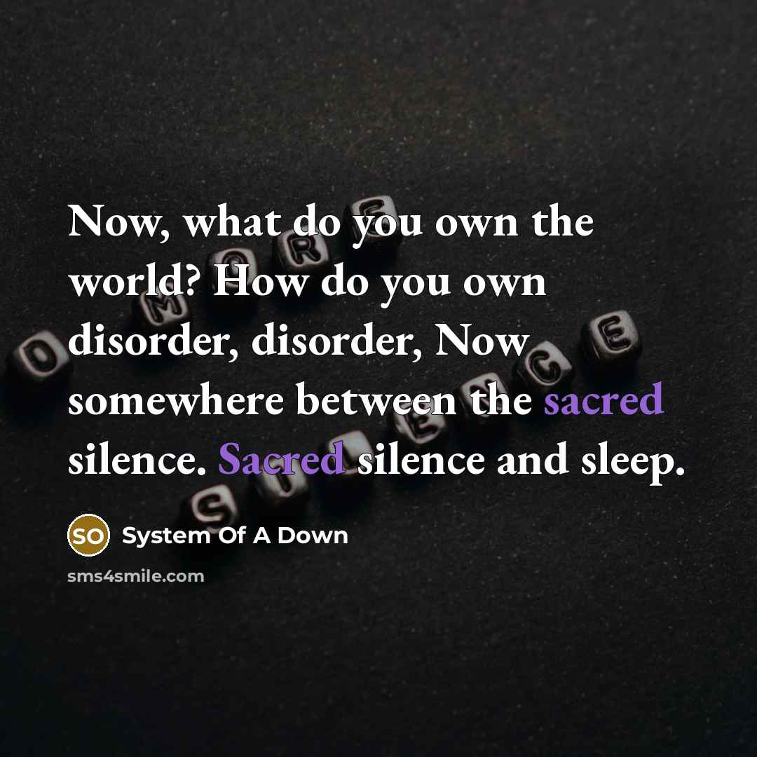 “Now, what do you own the world? How do you own disorder, disorder, Now somewhere between the sacred silence. Sacred silence and sleep.” quote by System Of A Down