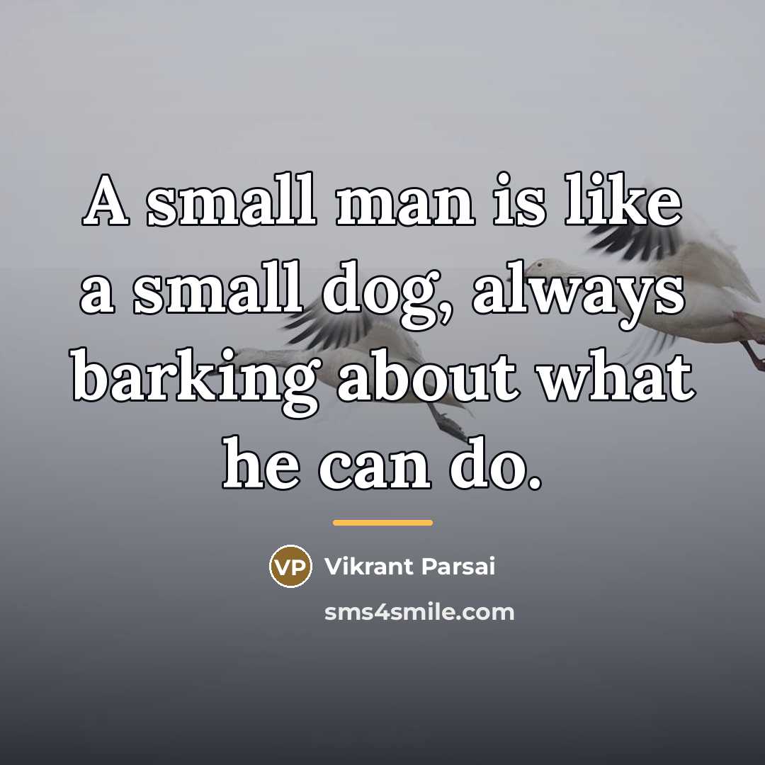 “A small man is like a small dog, always barking…” quote by Vikrant Parsai