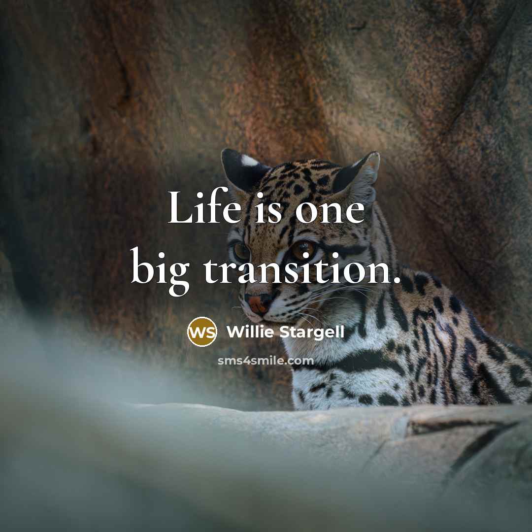 “Life is one big transition.…” quote by Willie Stargell