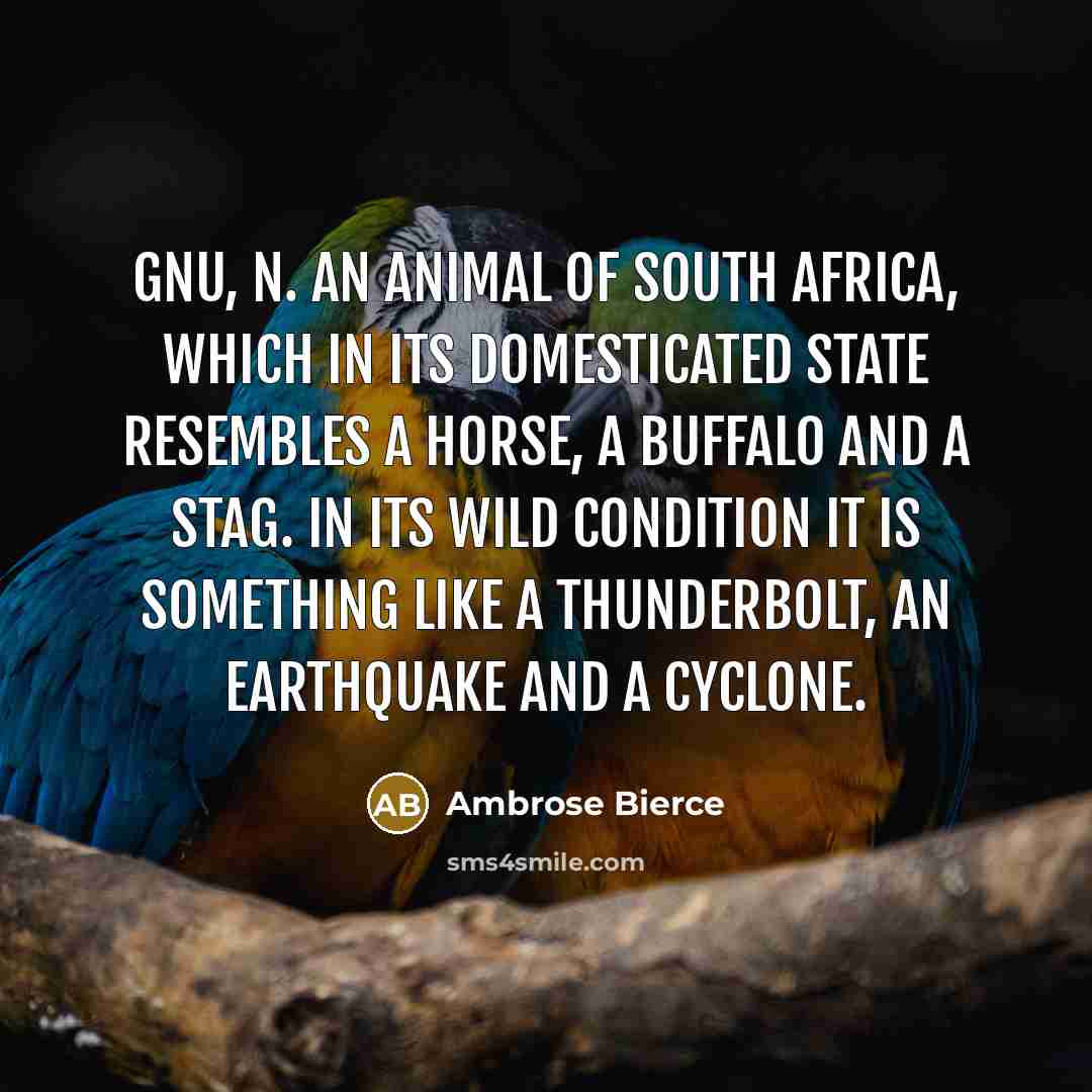“GNU, n. An animal of South Africa, which in its…” quote by Ambrose Bierce