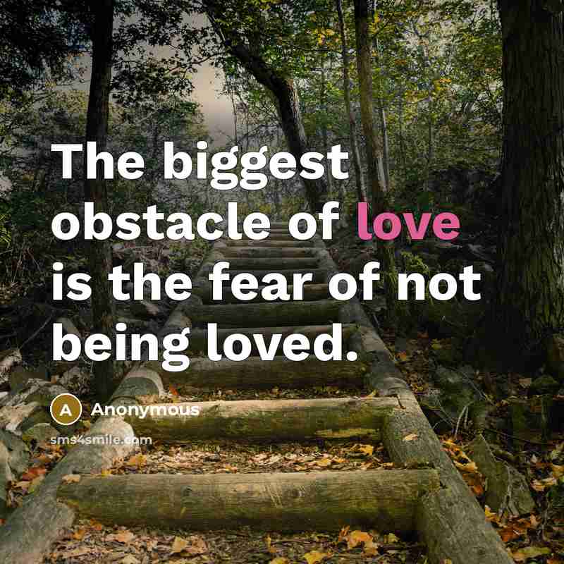 “The biggest obstacle of love is the fear of not…” quote by Anonymous