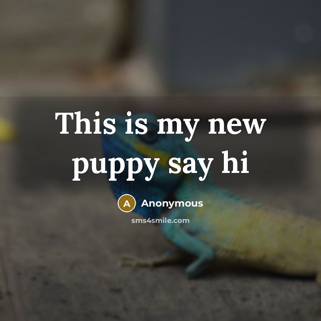 “This is my new puppy say hi” quote by Anonymous