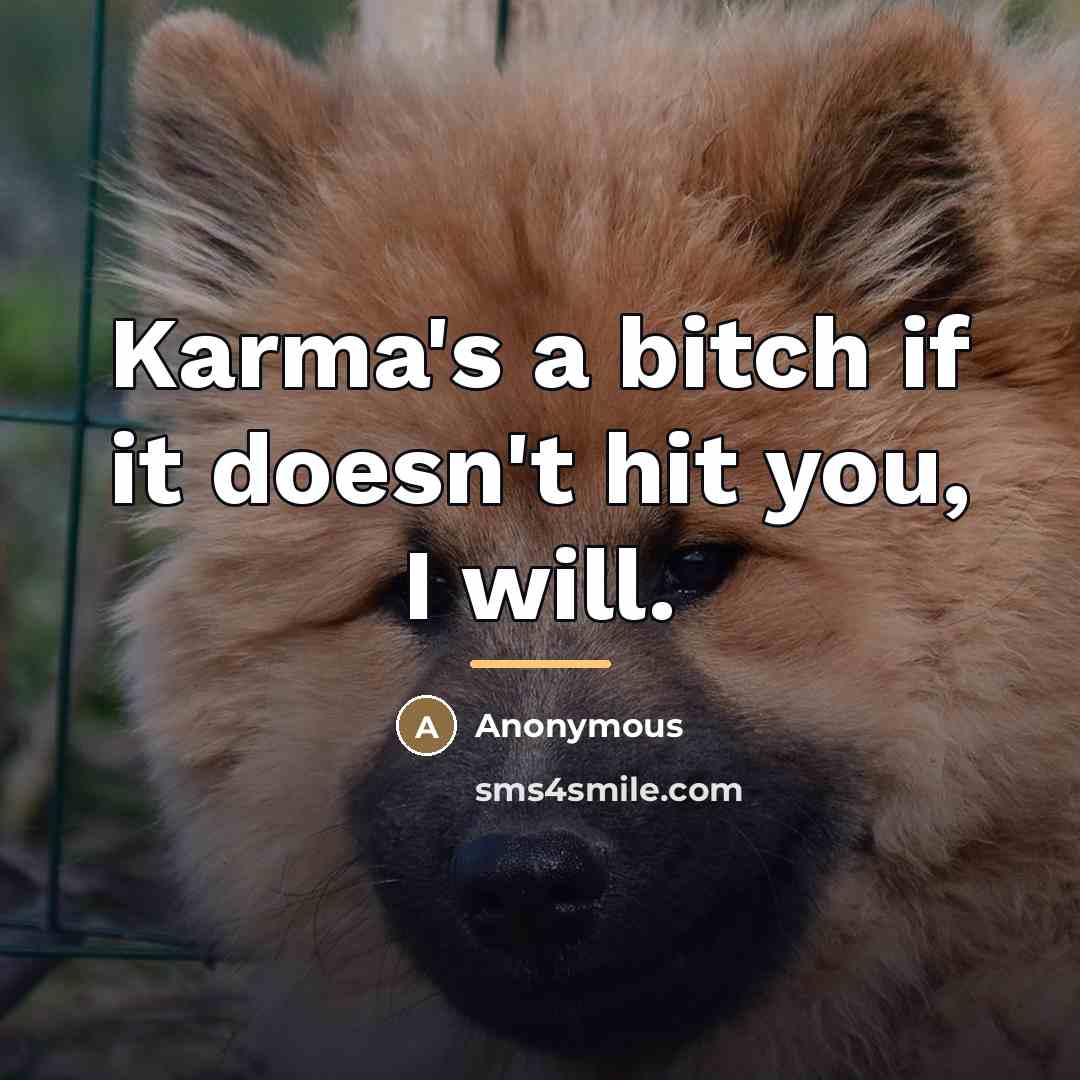 “Karma's a bitch if it doesn't hit you, I will.…” quote by Anonymous