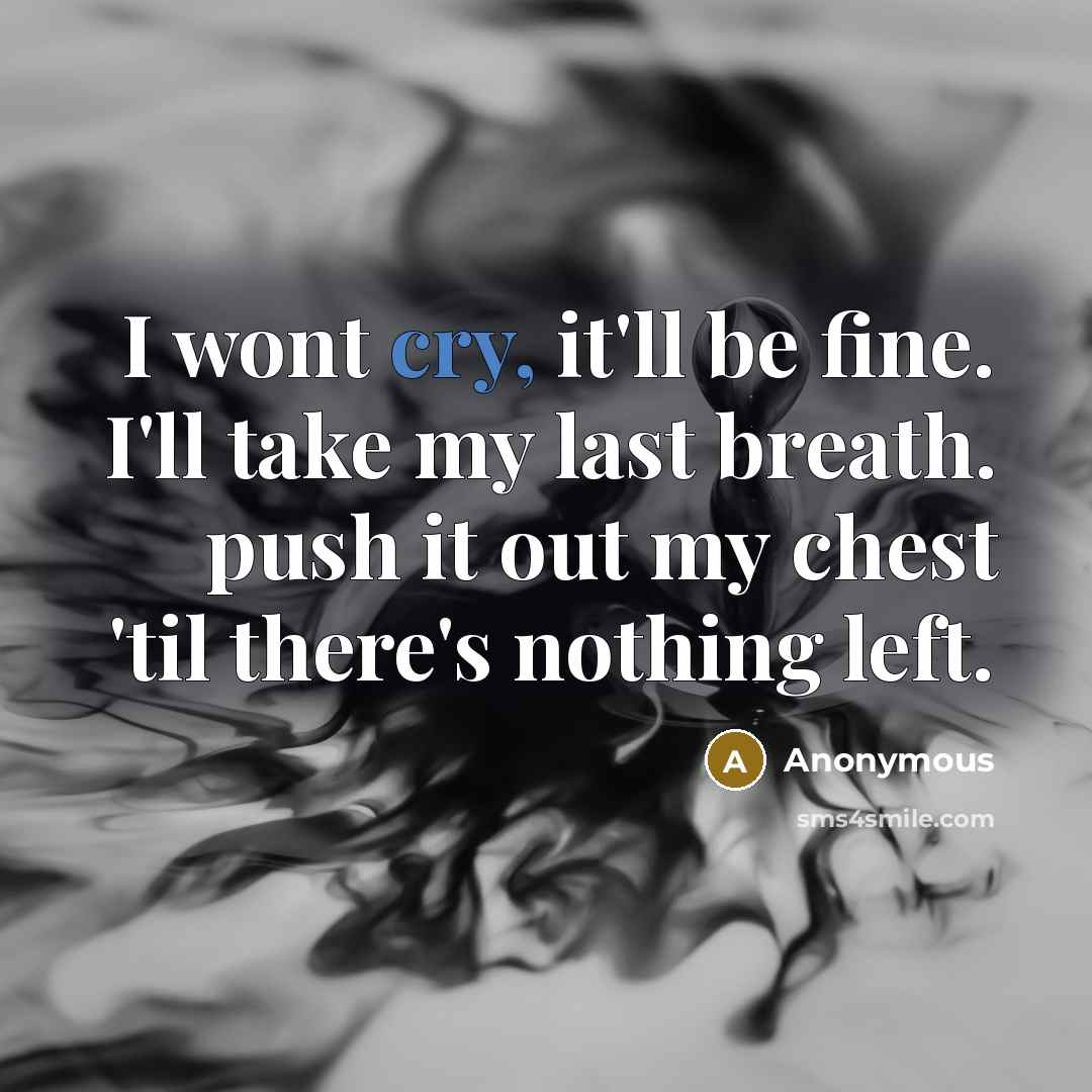 “I wont cry, it'll be fine. I'll take my last…” quote by Anonymous