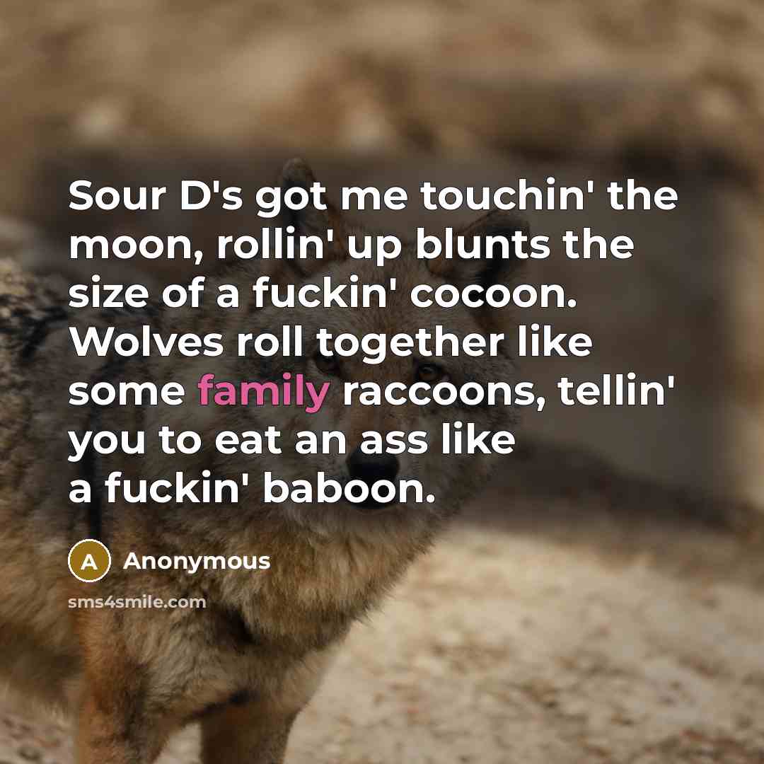 “Sour D's got me touchin' the moon, rollin' up blunts the size of a fuckin' cocoon. Wolves roll together like some family raccoons, tellin' you to eat an ass like a fuckin' baboon.” quote by Anonymous