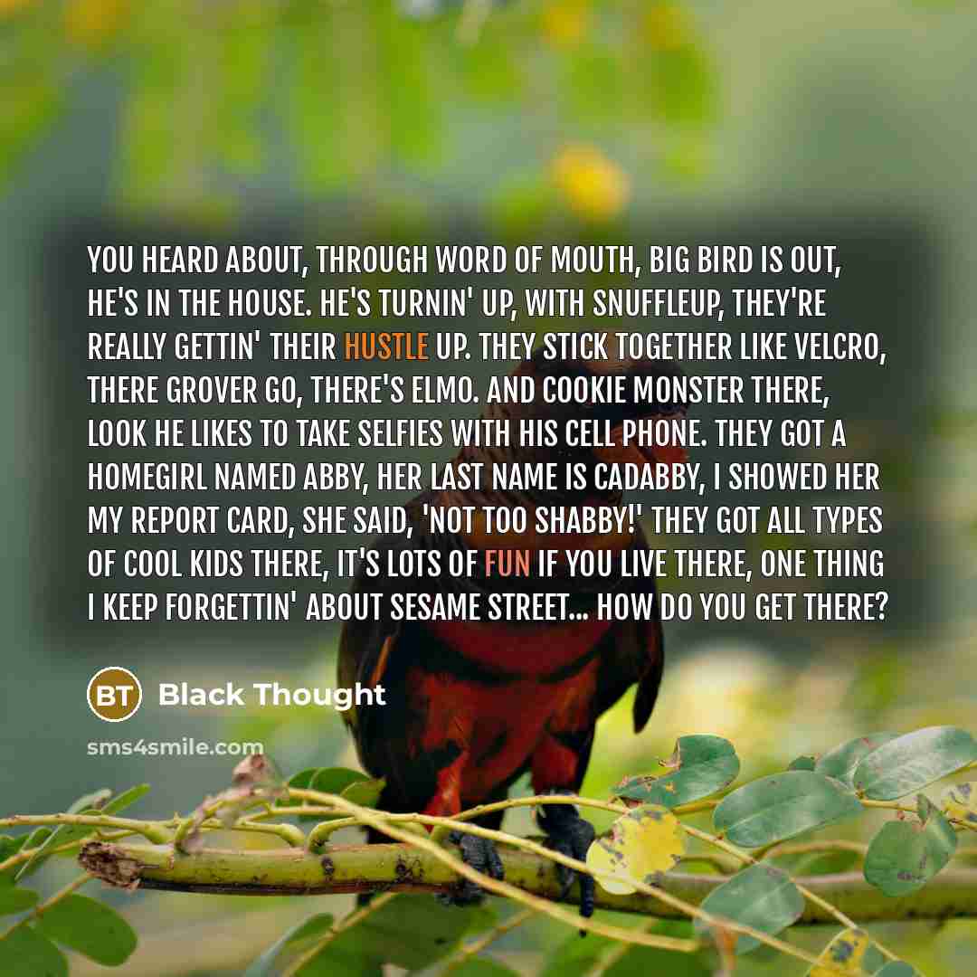 “You heard about, through word of mouth, Big Bird is…” quote by Black Thought